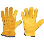 {$itemVyrobek[nazev]}