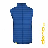 další vyobrazení Pracovní vesta CHAMEO DARIO ESD, royal