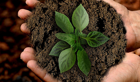 Jak na udržitelnost v oblasti pracovních pomůcek?